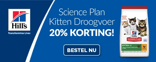 Al het Science Plan Kittenvoer met 20% korting